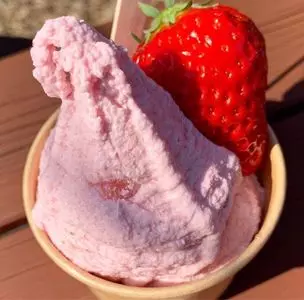 ベリー農園のソフトクリーム屋