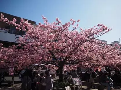小松ヶ池公園