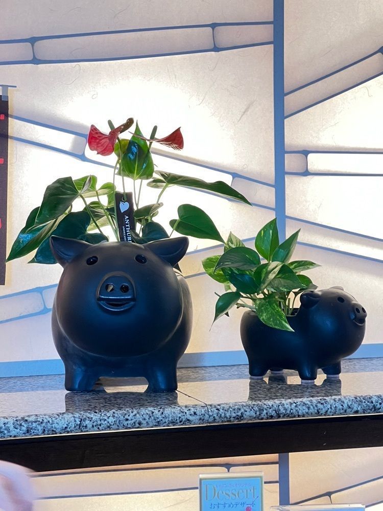 🤎アイヒンまま🤎さんが投稿した遊食豚彩 いちにいさん 日比谷店（【旧店名】 遊食菜彩 いちにいさん）に関する口コミの画像
