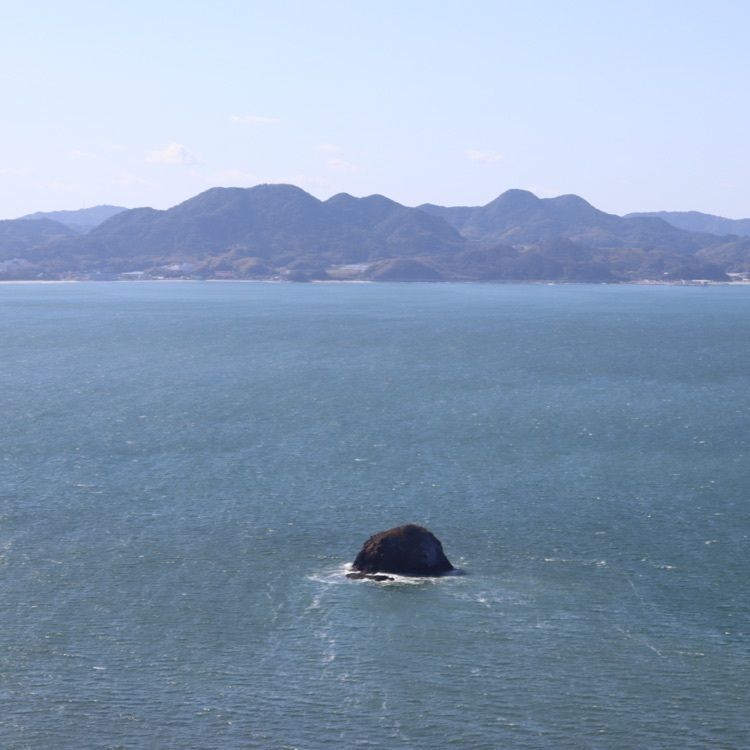 シュウさんが投稿したのこの市に関する口コミの画像