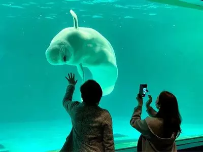鴨川シーワールドホテル 2枚目