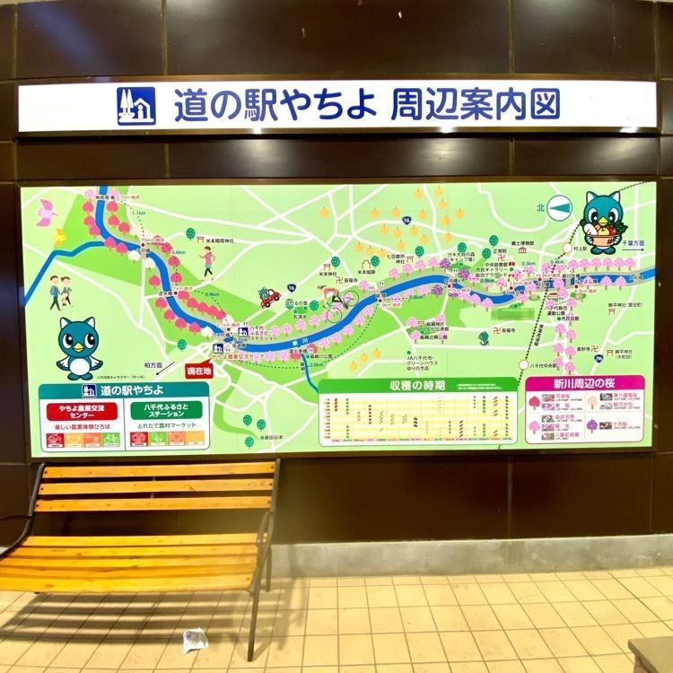 Satoshi.Nさんが投稿した道の駅やちよやちよ農業交流センターに関する口コミの画像