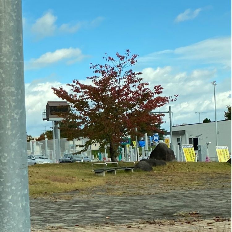 かめ_メグミさんが投稿したレストランせせらぎ（寒河江花咲か温泉ゆ～チェリー施設内）に関する口コミの画像