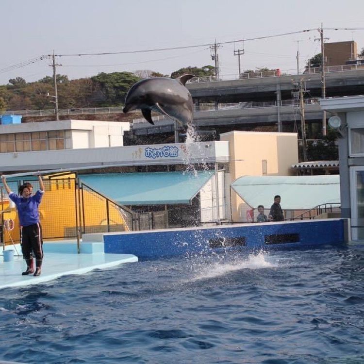 ＤＪゴン太さんが投稿した越前松島水族館 展望レストランに関する口コミの画像