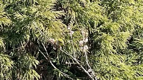 広田梅林ふれあい公園