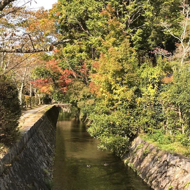 NBR OTさんが投稿した葵ホテル　南禅寺別邸に関する口コミの画像