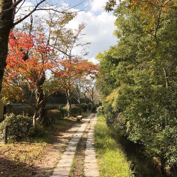 NBR OTさんが投稿した葵ホテル　南禅寺別邸に関する口コミの画像