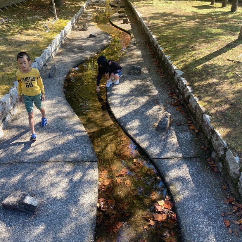 あるふぃすたさんが投稿した佐伯総合スポーツ公園に関する口コミの画像