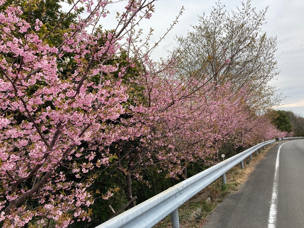 横山展望台 4枚目