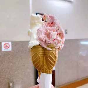 トリノ 本店