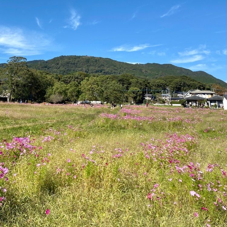 Rhapsodyさんが投稿した戒壇院に関する口コミの画像