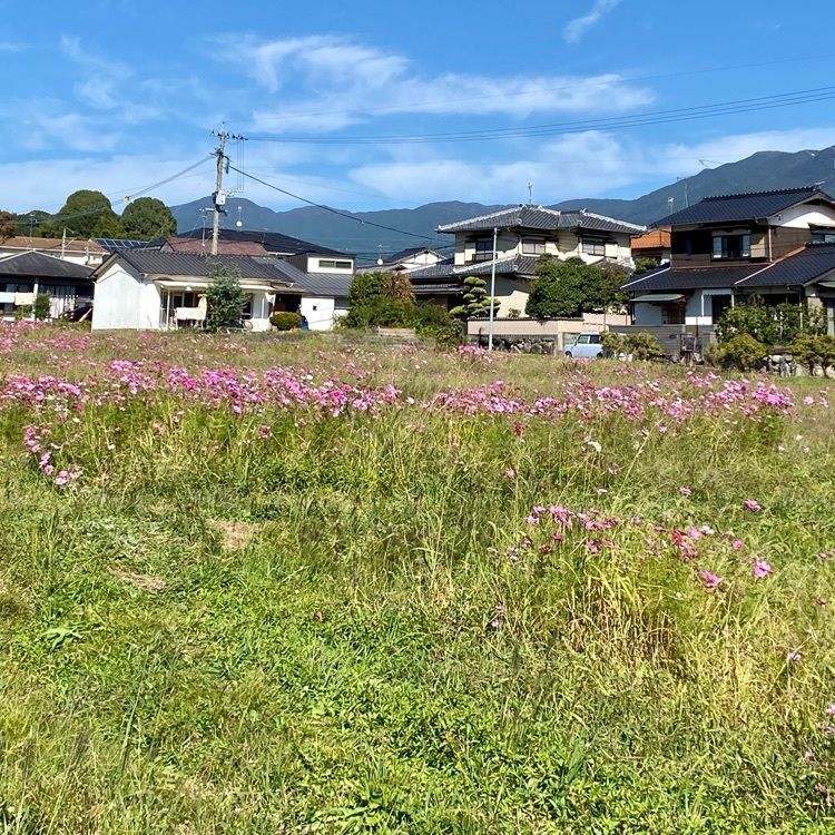 Rhapsodyさんが投稿した戒壇院に関する口コミの画像