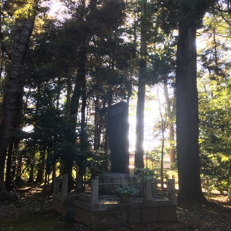 ニシさんが投稿した國王神社に関する口コミの画像