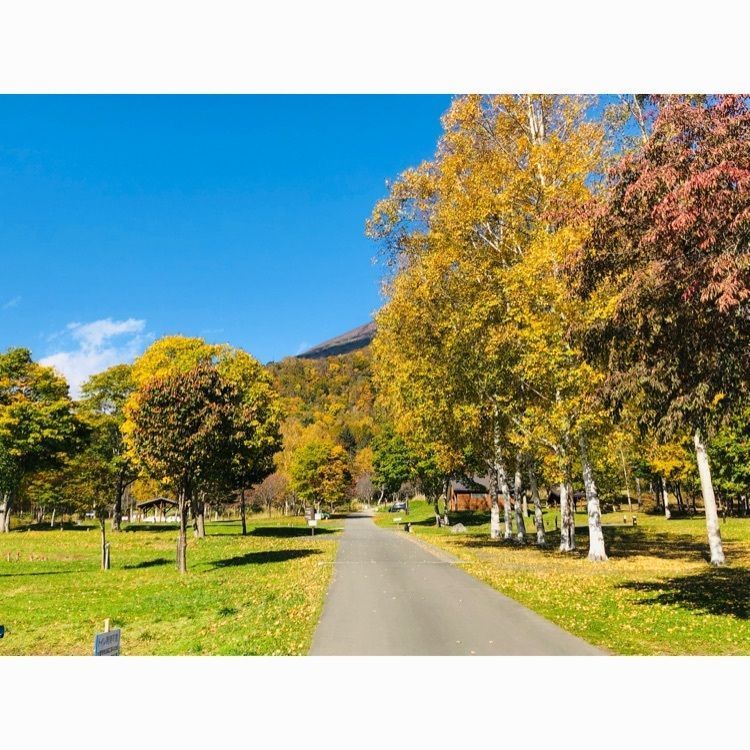 サトツルさんが投稿した羊蹄山自然公園キャンプ場に関する口コミの画像