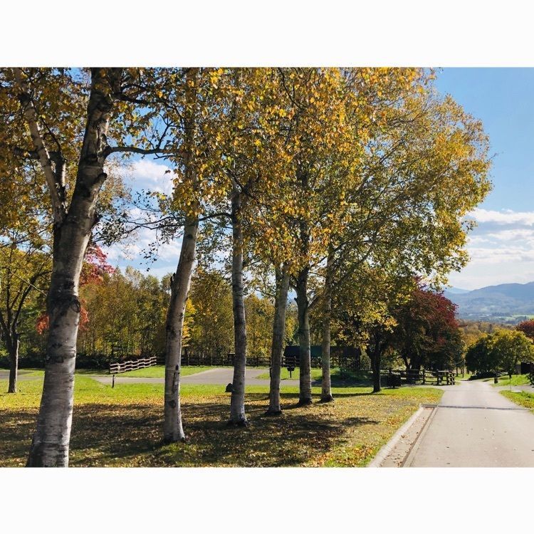 サトツルさんが投稿した羊蹄山自然公園キャンプ場に関する口コミの画像