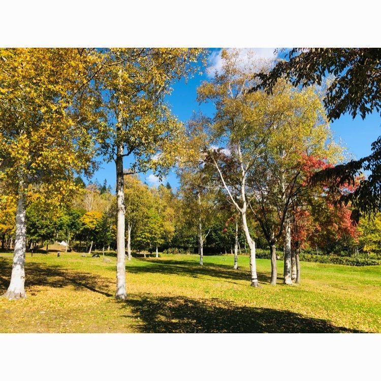 サトツルさんが投稿した羊蹄山自然公園キャンプ場に関する口コミの画像