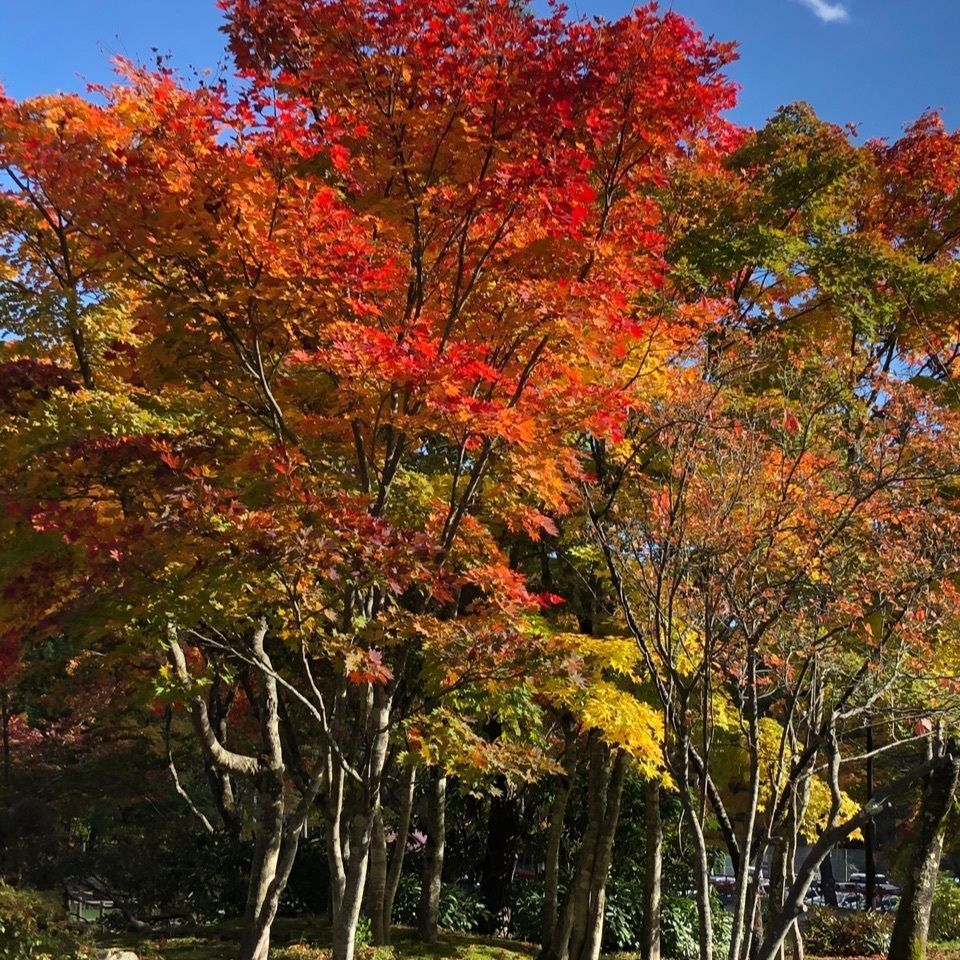 jun.kubotaさんが投稿した日向山高原に関する口コミの画像