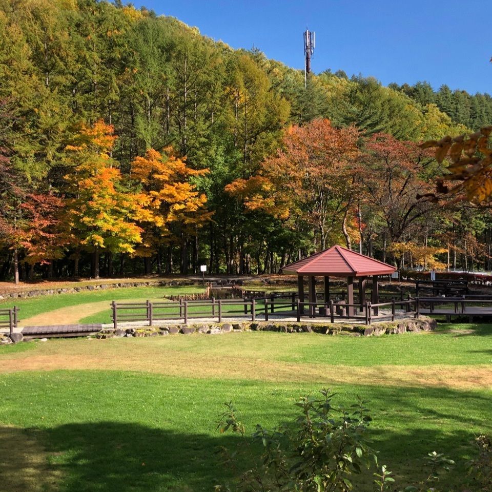 jun.kubotaさんが投稿した日向山高原に関する口コミの画像