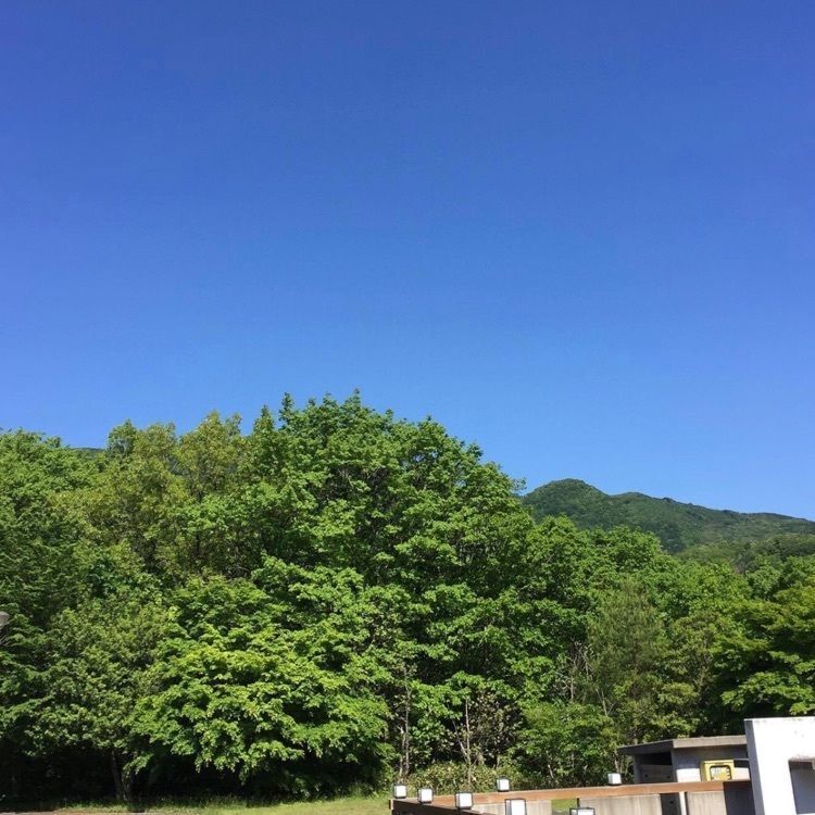 ＤＪゴン太さんが投稿したのとろ温泉天空の湯に関する口コミの画像