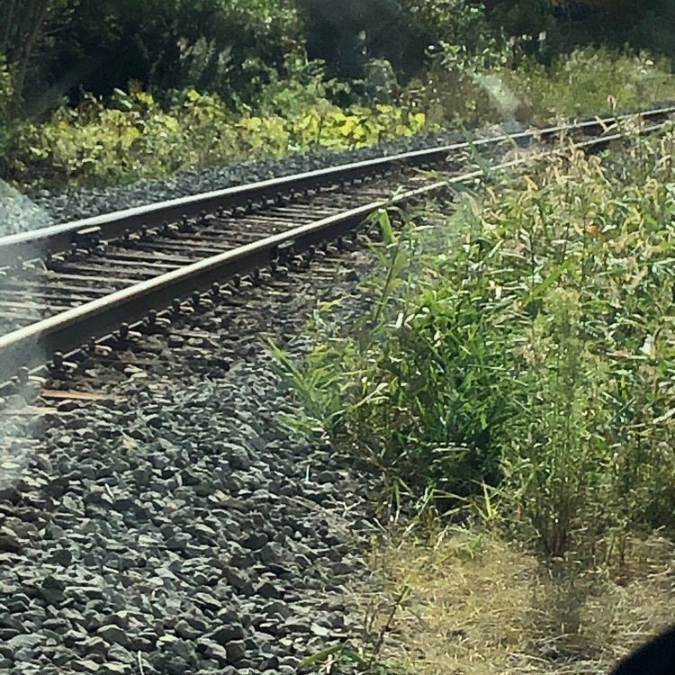 kazu&kinakoさんが投稿した細岡駅に関する口コミの画像