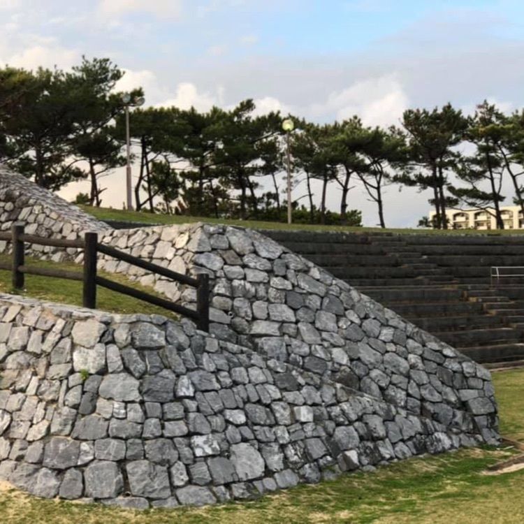 ＤＪゴン太さんが投稿した21世紀の森公園に関する口コミの画像