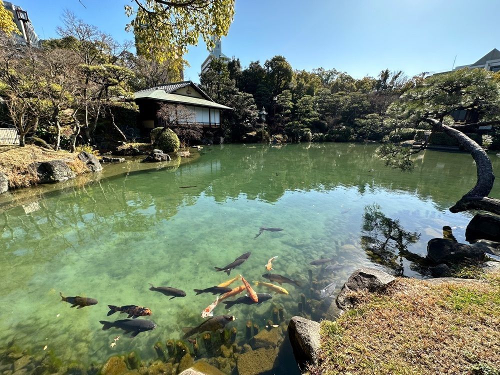 ヒデヤンさんが投稿した相楽園に関する口コミの画像