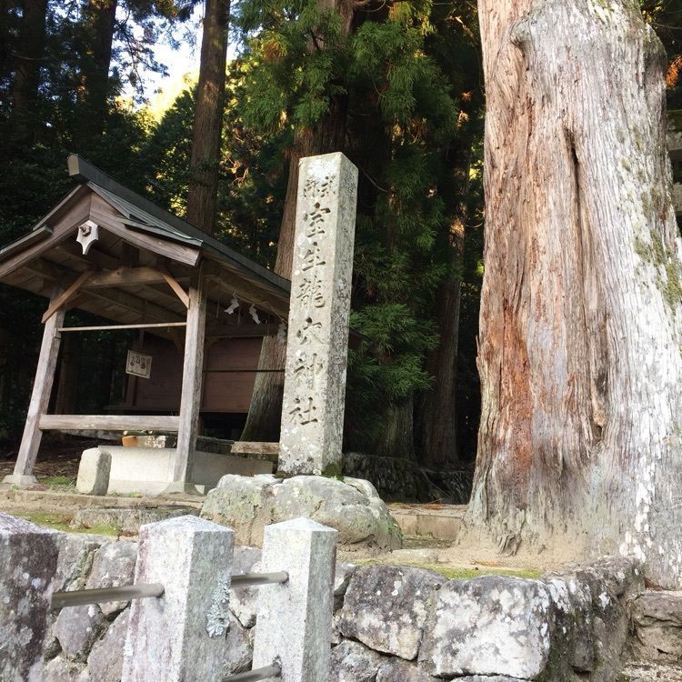 satomi.iwさんが投稿した室生龍穴神社周辺に関する口コミの画像