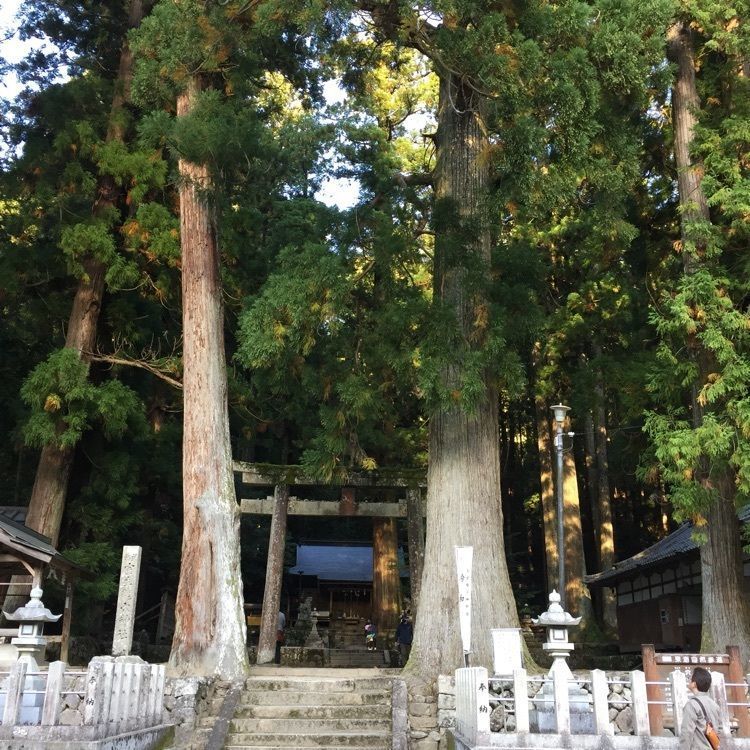 satomi.iwさんが投稿した室生龍穴神社周辺に関する口コミの画像
