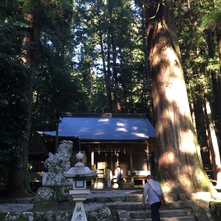 satomi.iwさんが投稿した室生龍穴神社周辺に関する口コミの画像