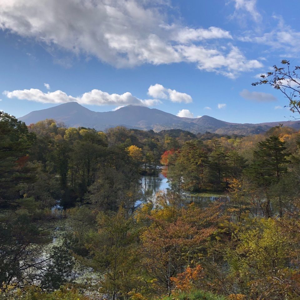 nostalgic_location_ed43さんが投稿した中瀬沼に関する口コミの画像