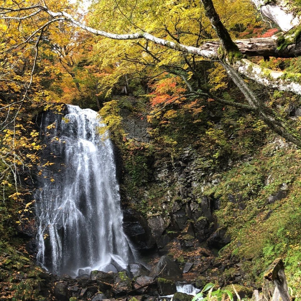 nostalgic_location_ed43さんが投稿した小野川不動滝に関する口コミの画像