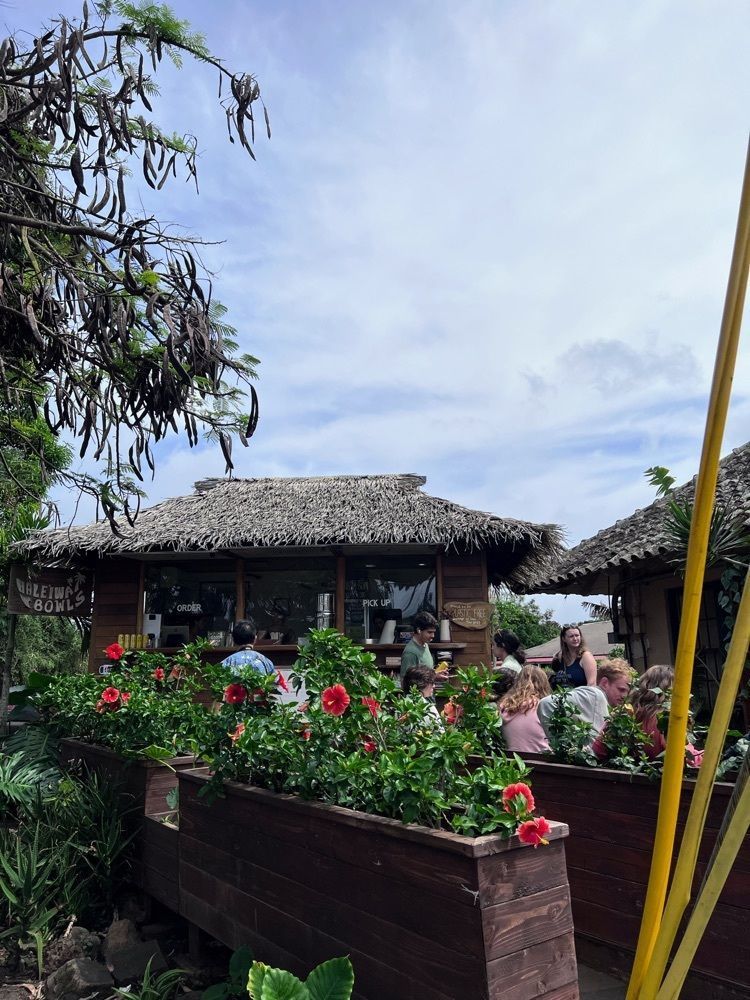 miwaさんが投稿したHaleiwa Bowlsに関する口コミの画像
