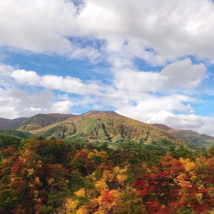 猫なぎ。さんが投稿した鳴子峡の紅葉に関する口コミの画像