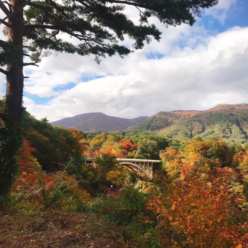 猫なぎ。さんが投稿した鳴子峡の紅葉に関する口コミの画像