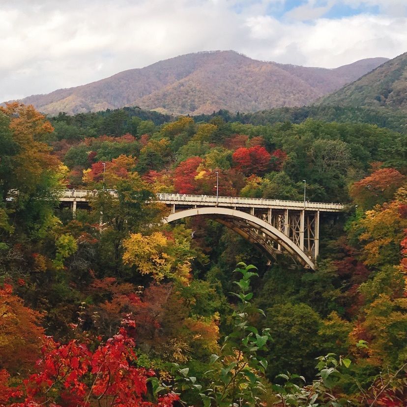 猫なぎ。さんが投稿した鳴子峡の紅葉に関する口コミの画像