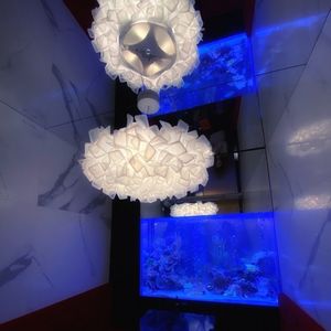 新宿 アクアリウムダイニング JeMare 1枚目