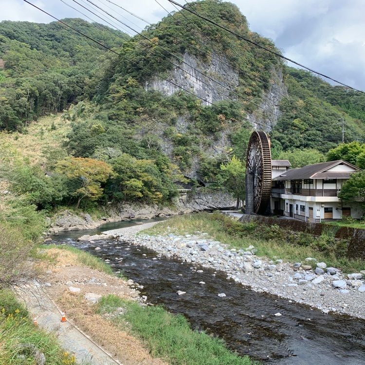 formal_cafeteria_8688さんが投稿した水車茶屋 なのはなに関する口コミの画像