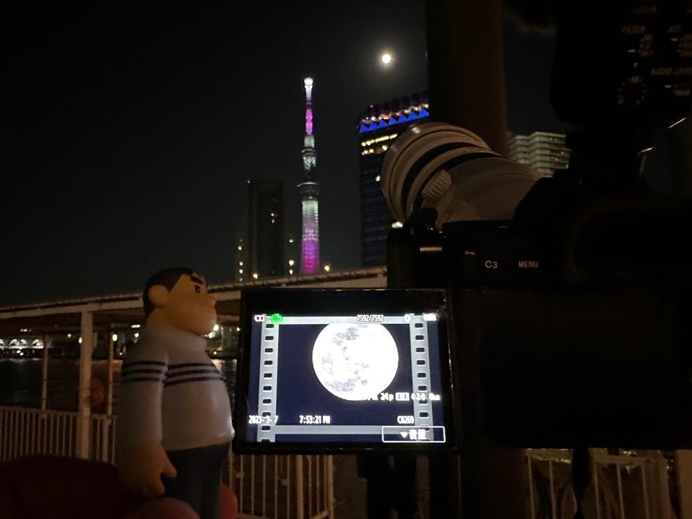 jamesさんが投稿した東京都観光汽船に関する口コミの画像