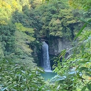 里の駅 小の岩の庄 4枚目
