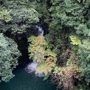 里の駅 小の岩の庄 6枚目