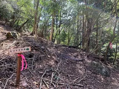 鎮南山