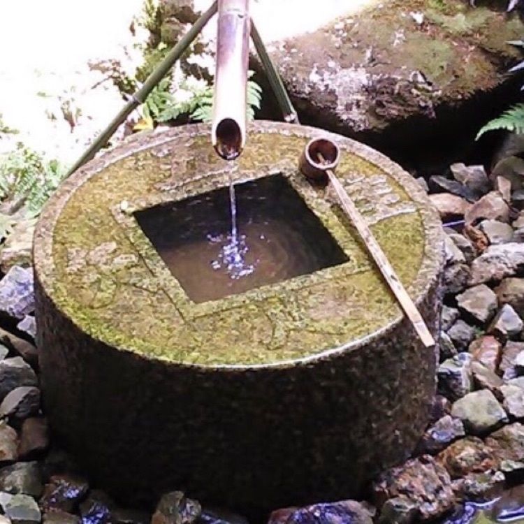 DJゴン太の画像