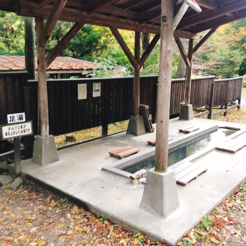 猫なぎ。さんが投稿した鬼首間歇泉に関する口コミの画像