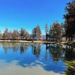 毛越寺