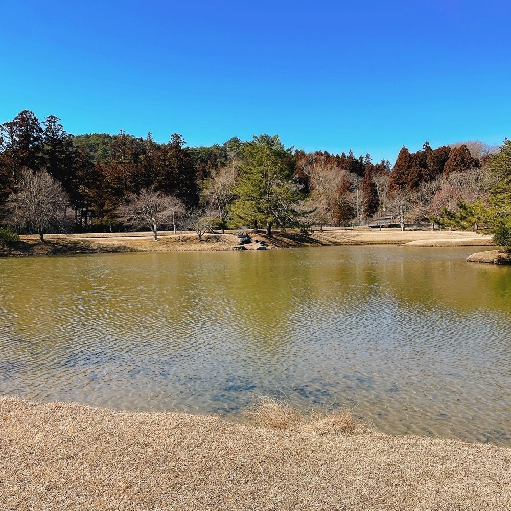 Danjouさんが投稿した毛越寺に関する口コミの画像
