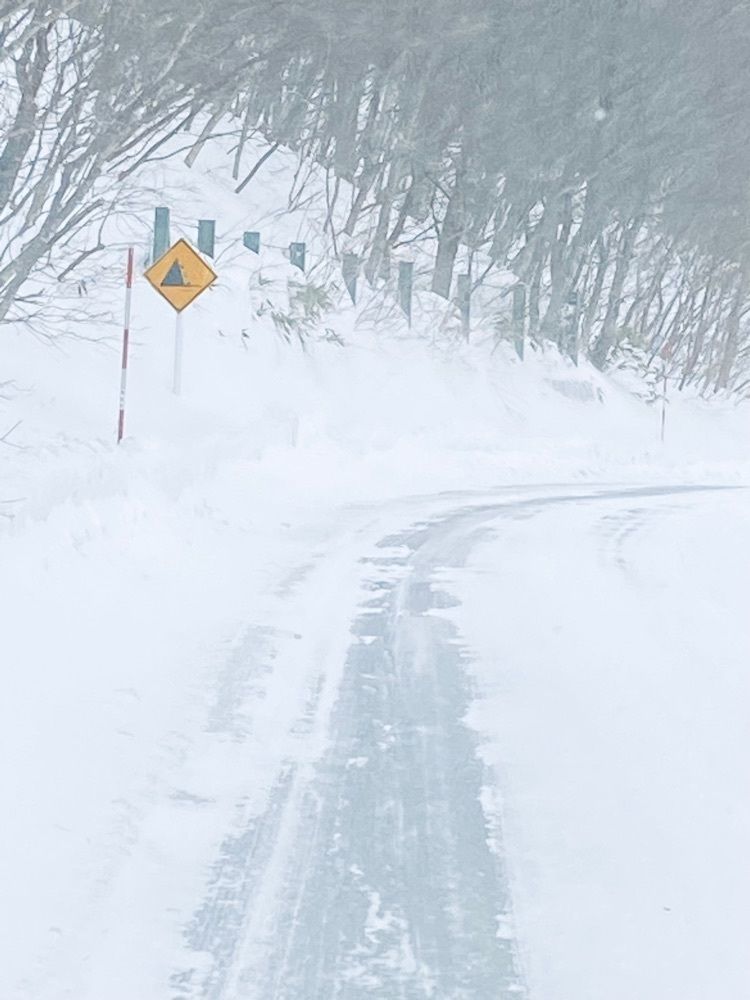 Musashiさんが投稿した野地温泉ホテルに関する口コミの画像