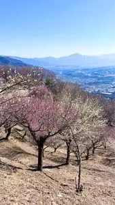 宝登山ロープウェイ