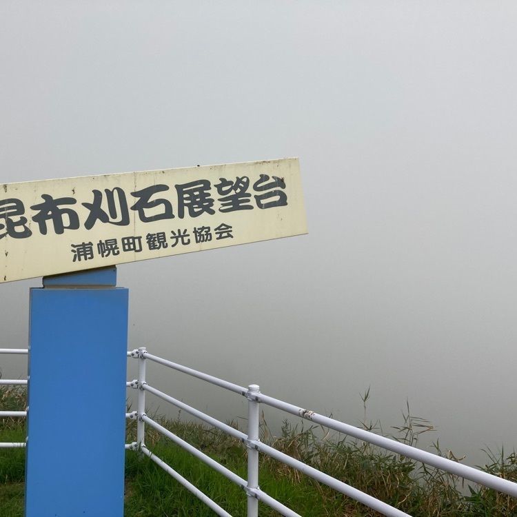 joyful_tourismさんが投稿した黄金道路に関する口コミの画像