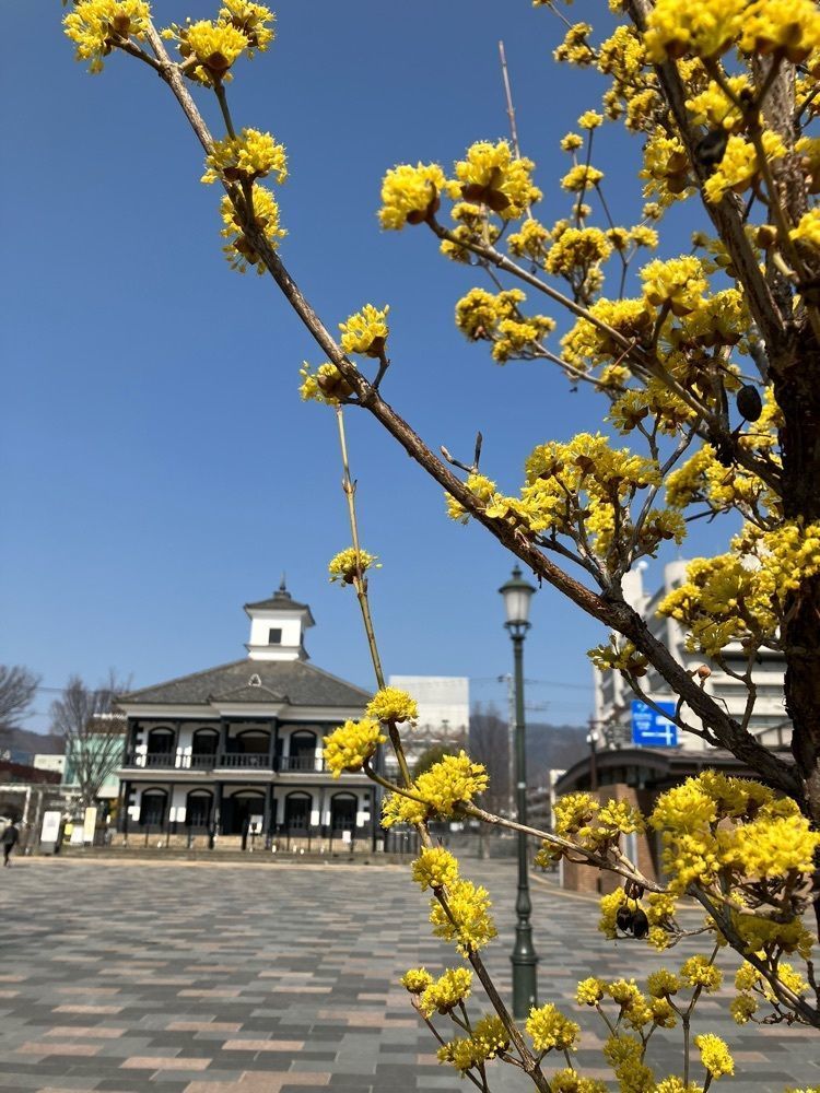 Nさんが投稿した甲府市藤村記念館（旧睦沢学校校舎）に関する口コミの画像