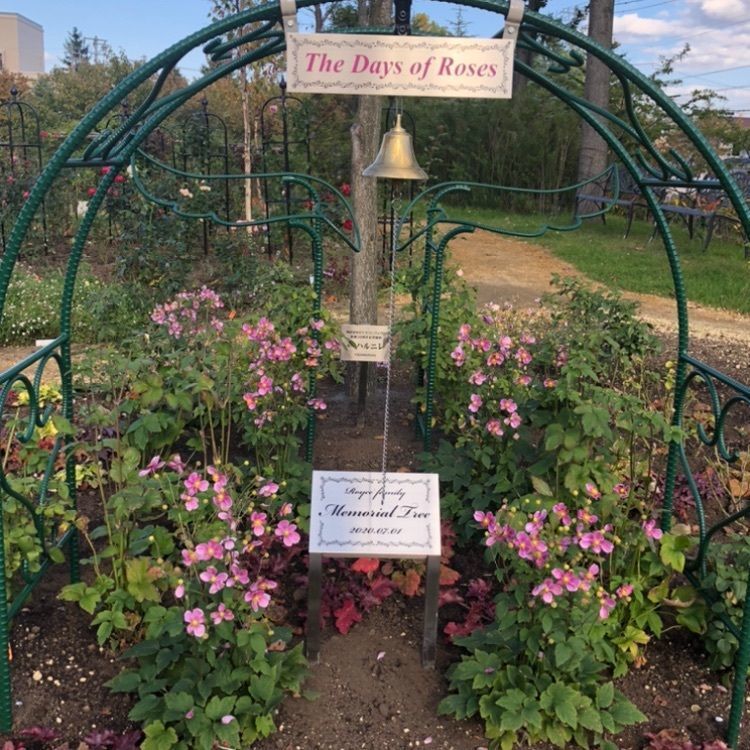 kazu&kinakoさんが投稿したロイズ あいの里公園店（ROYCE'）に関する口コミの画像